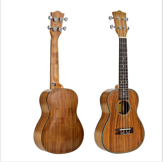 Guitar and Ukulele Music Instruments
