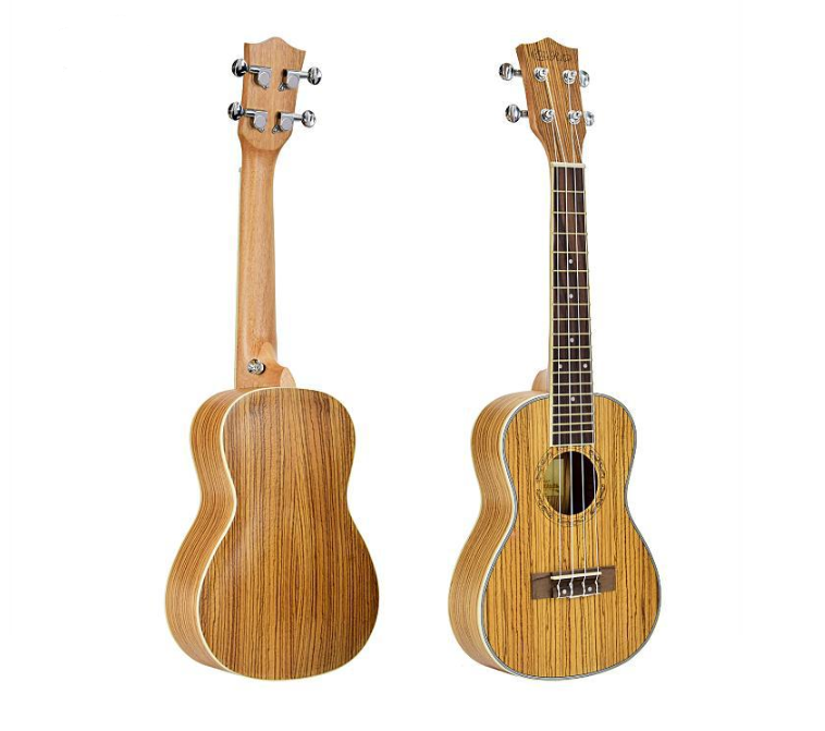 Guitar and Ukulele Music Instruments