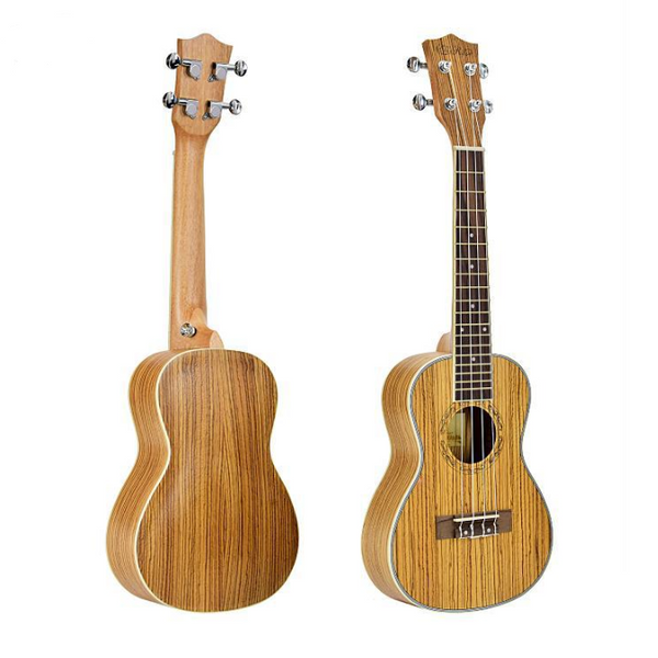 Guitar and Ukulele Music Instruments