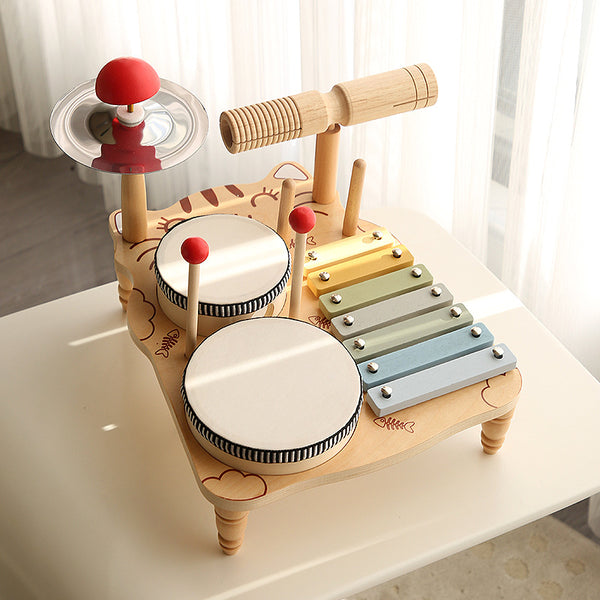 Multifunctional Music Drum Toy for Early Education