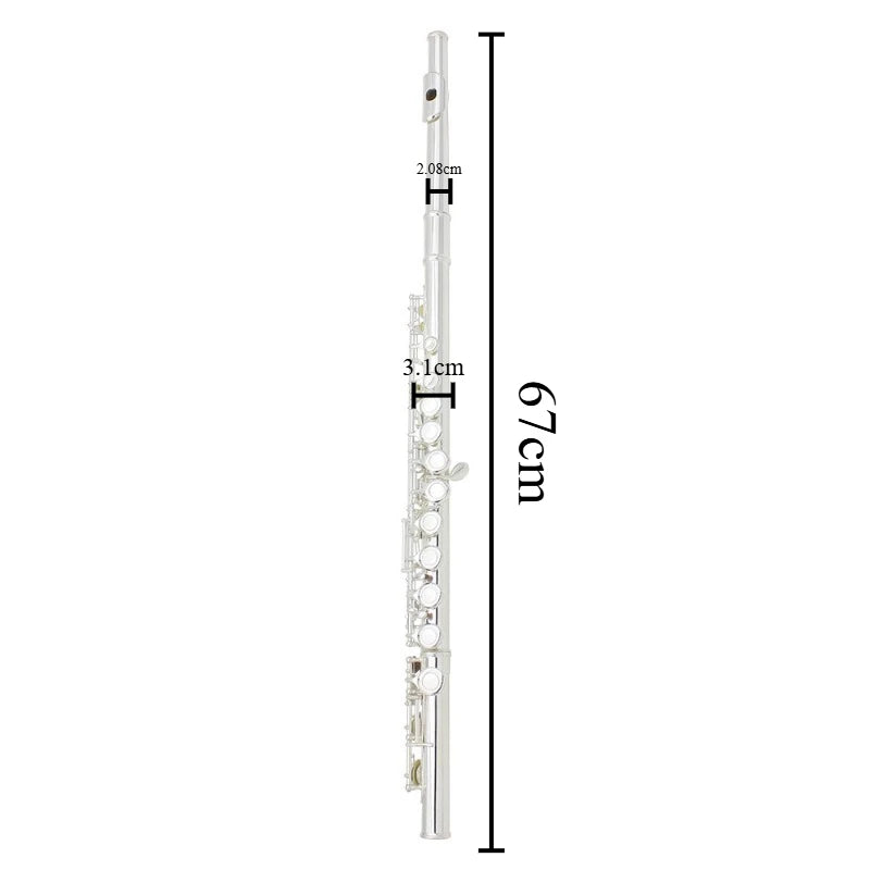 Professional Flute C Tone Metal