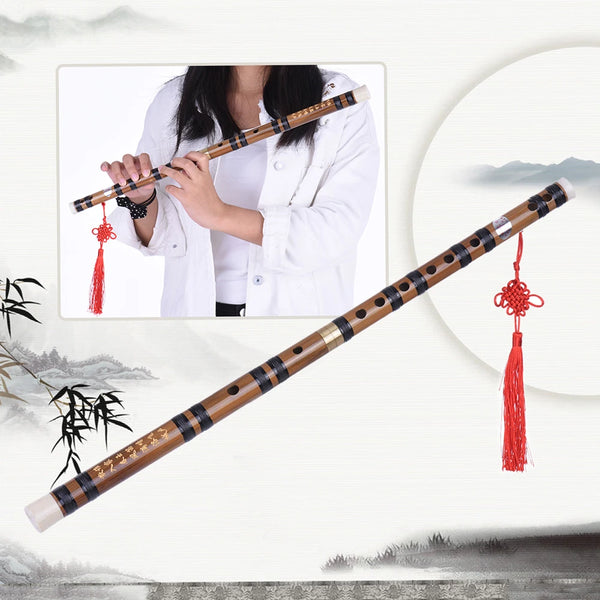 Pluggable Handmade Bamboo Flute Dizi Chinese Woodwind Instrument E Key Beginner