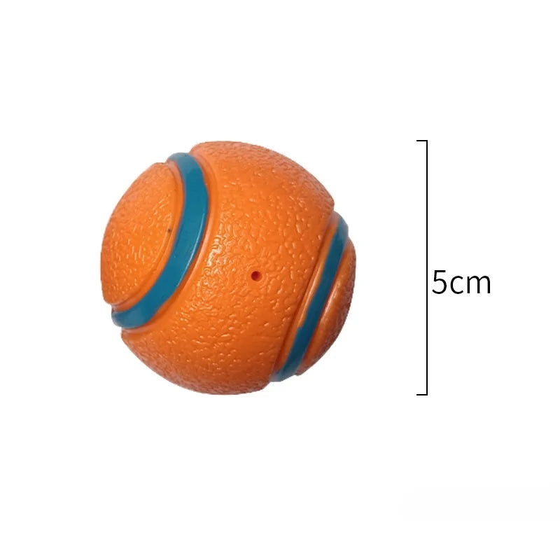 Dog Fetch Ball Toy