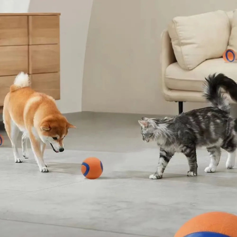 Dog Fetch Ball Toy