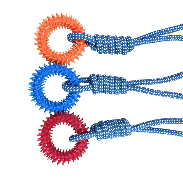 Dog Chew Training Toy