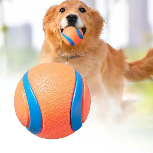 Dog Fetch Ball Toy