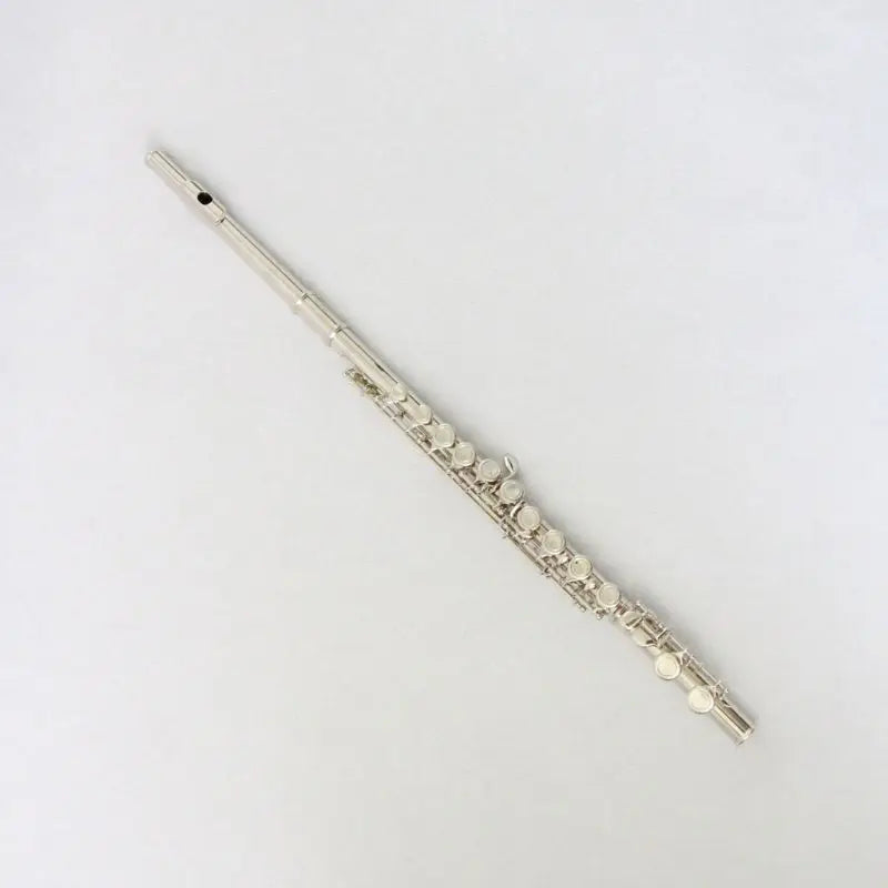 Woodwind Mental Flute 16 Holes C Tone