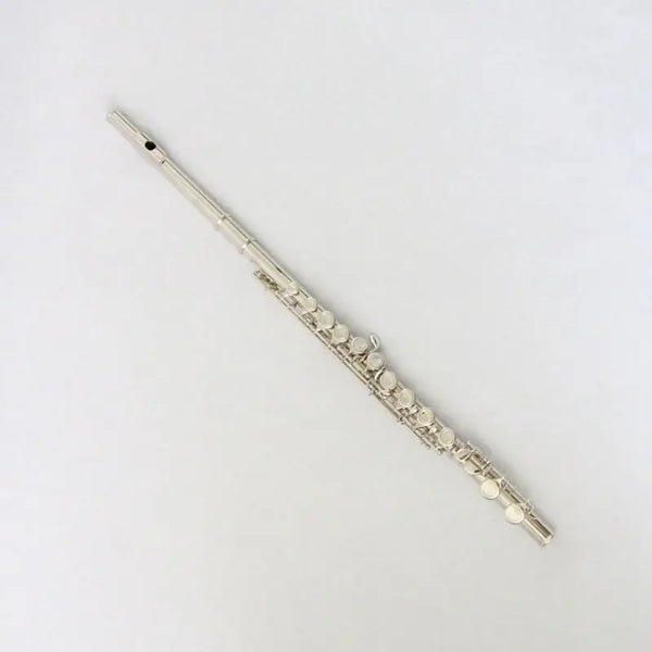 Woodwind Mental Flute 16 Holes C Tone