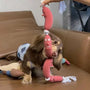 Dog Sausage Toy