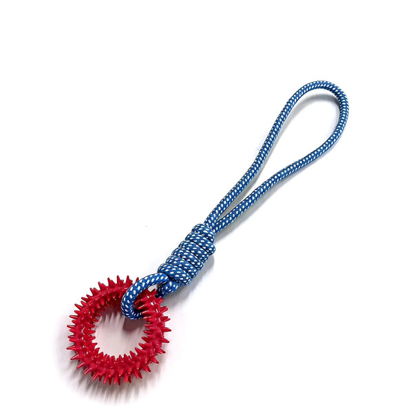 Dog Chew Training Toy