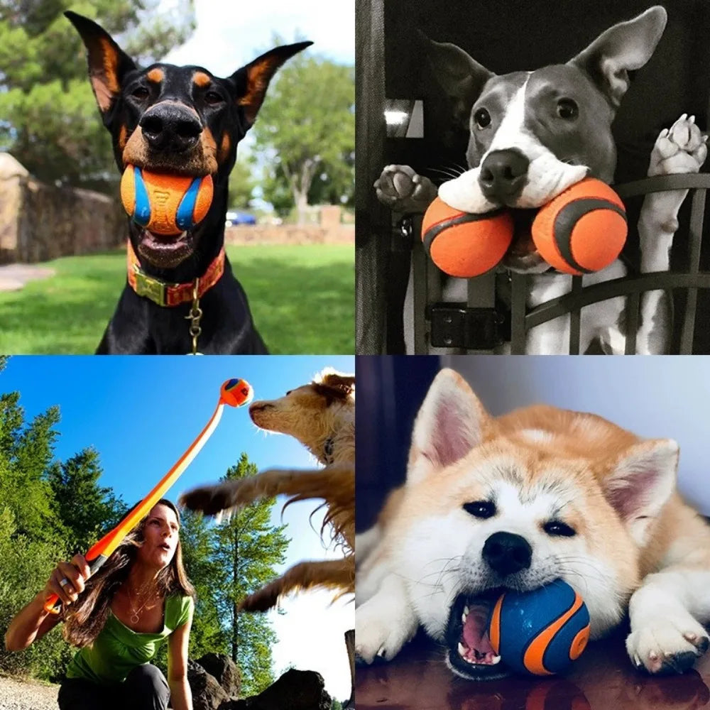 Dog Fetch Ball Toy