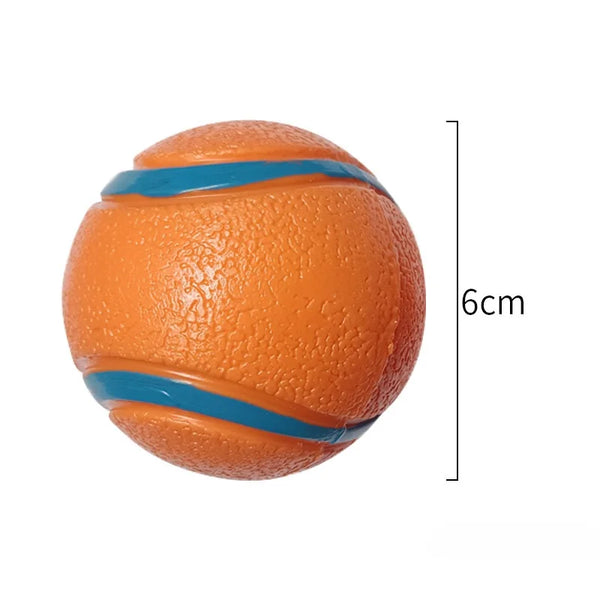 Dog Fetch Ball Toy