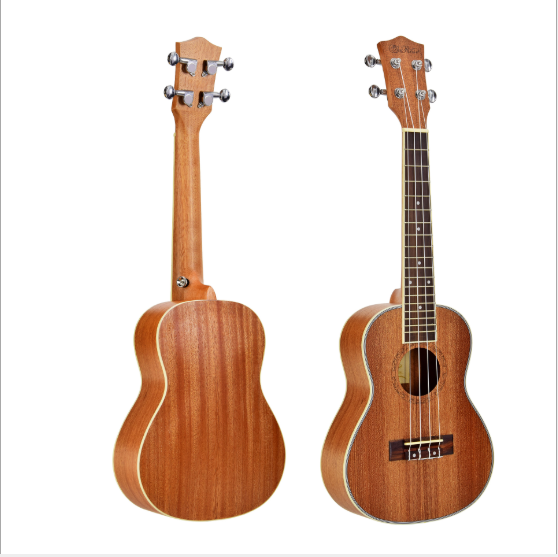 Guitar and Ukulele Music Instruments