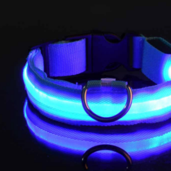 Adjustable Luminous Waterproof Collar for Pets
