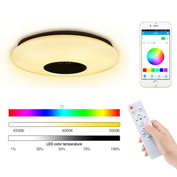 LED Music Ceiling Light with Remote Control (15.94in)